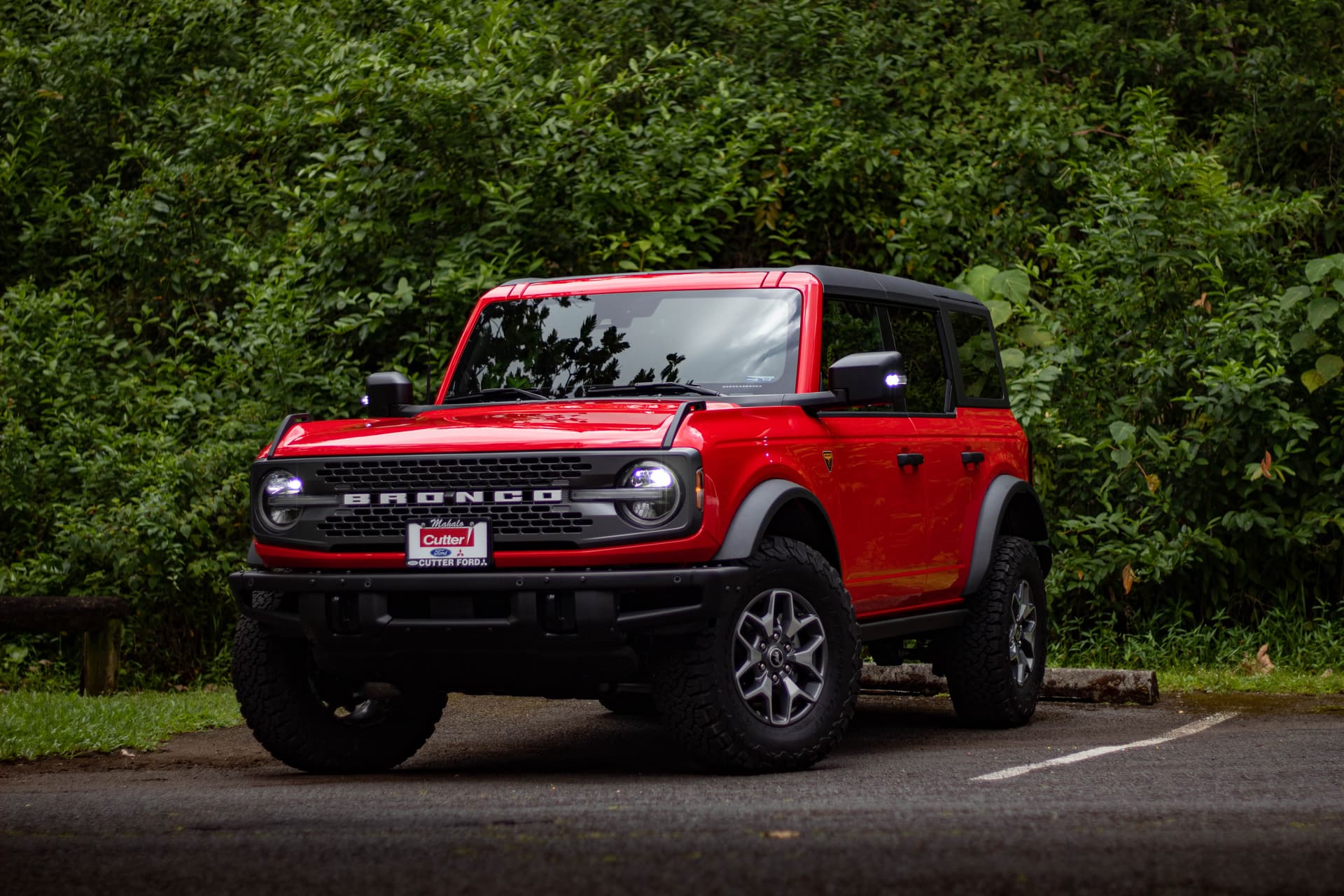 Car Image 13